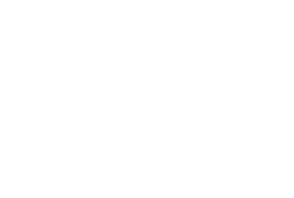 MCAS_Logo